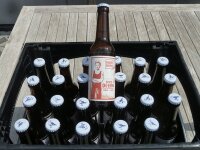 Seute Deern | BIO-Cider süß | 24er Kasten